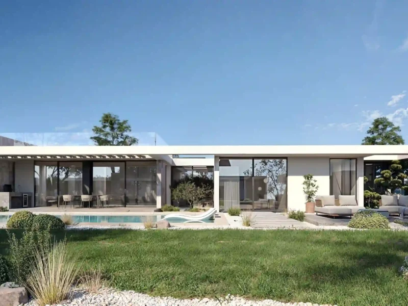 Olive Oasis